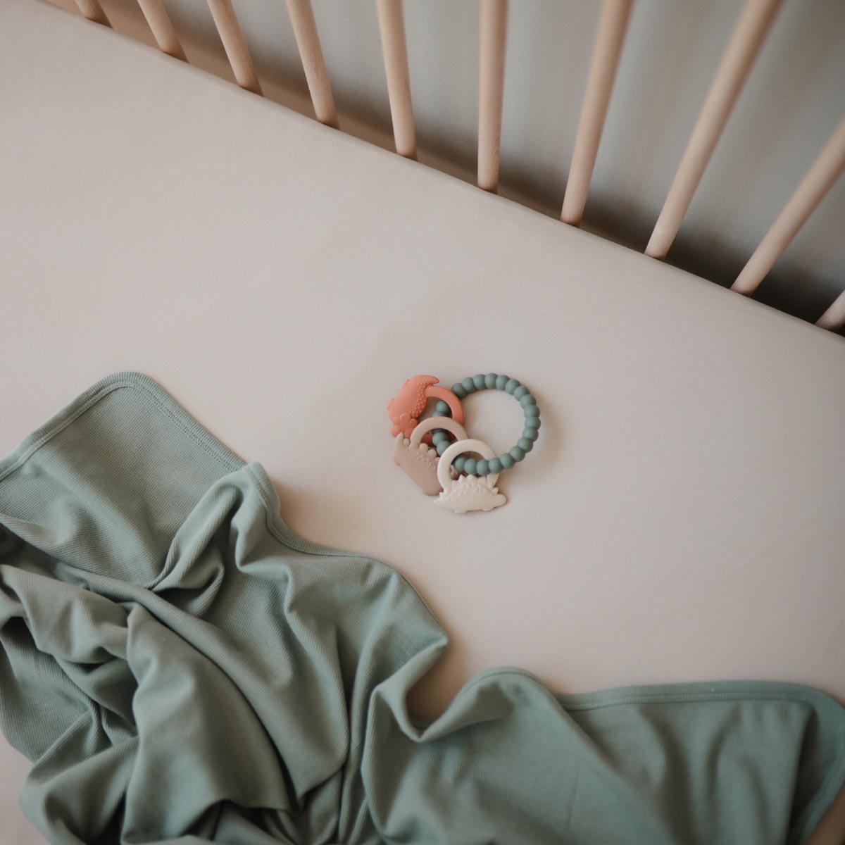 Teether Ring - Dino